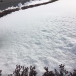 20160129青森の雪
